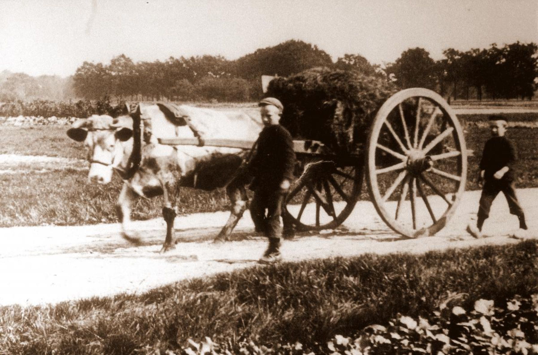Lezing - Boer'n van Gister'n. Lezing van 27-3-2019