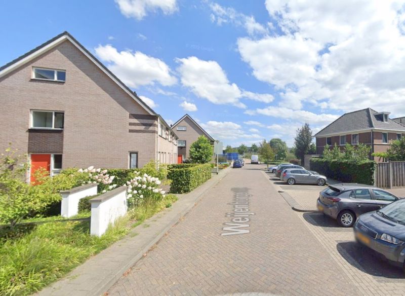 Weijenborgerdijk
