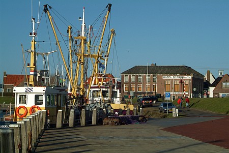 Omgeving Makkum - Workum